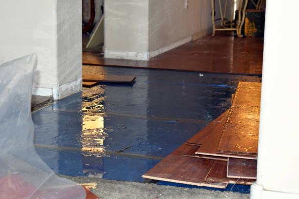 Professional Water Damage Restoration technician working in Lakeshore, CA